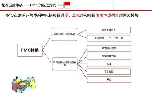 圖解某公司pmo運作方式及體系