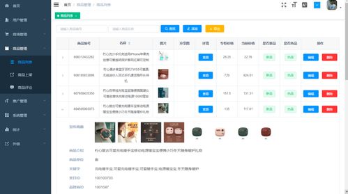 微信小程序商城管理系統 java后臺 小程序