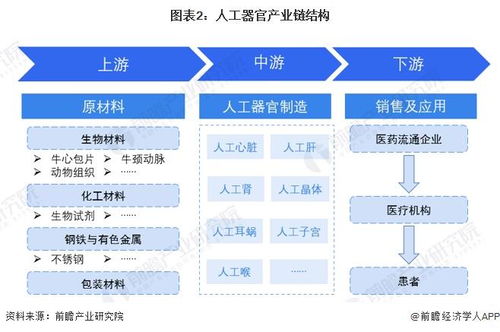 預見2024 2024年中國人工器官行業全景圖譜 附市場現狀 競爭格局和發展趨勢等
