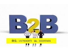 b2b發布軟件棗莊新聞網 衢州億凌云推廣
