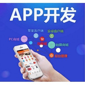 九盈國際系統APP軟件開發