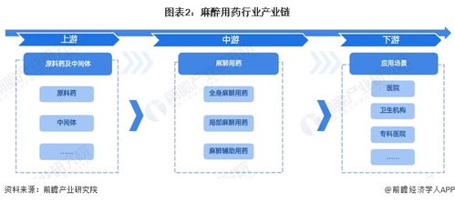 預見2024 2024年中國麻醉用藥行業(yè)全景圖譜 附市場現(xiàn)狀 競爭格局和發(fā)展趨勢等